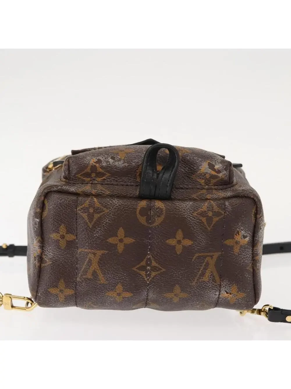 Louis Vuitton Palm Springs Mini #344439L69B